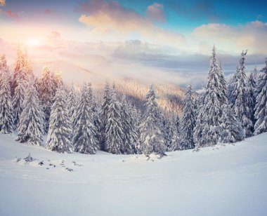 Sisli dağlar, gündoğumu.