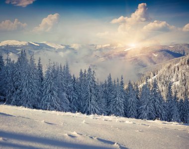 Dağlarda kış sabahı