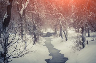 kar yağışı Şehir Parkı. 