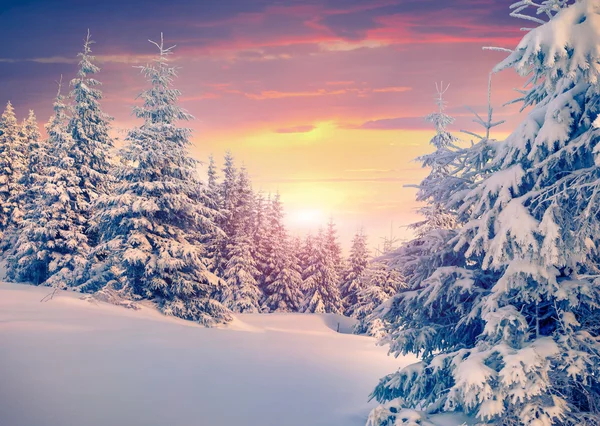 Kış gündoğumu dağ