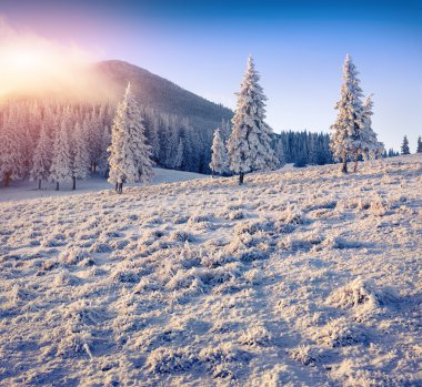 Renkli Kış gündoğumu Dağları. 