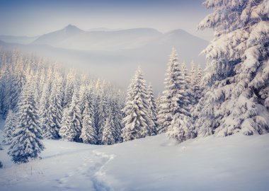 hoarfrost ve dağlarda kar