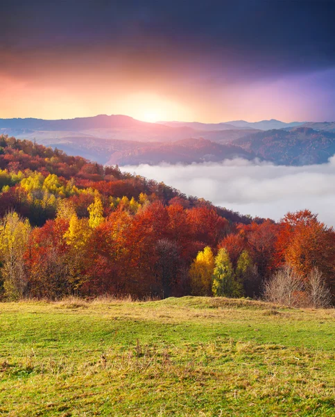 Bunte Herbstmorgen in Karpaten. — Stockfoto