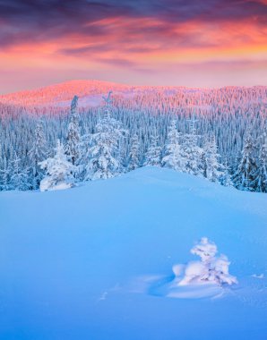 Dağlarda gün doğumu.