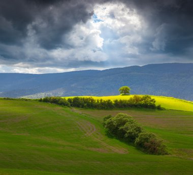 Toscana fırtına öncesi sessizlik içinde yalnız ağaç