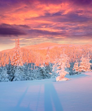 Dağlarda gün doğumu.