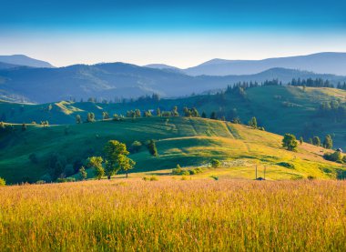 dağlarda yaz sabahı