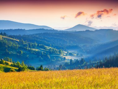 Dağlarda yaz gündoğumu