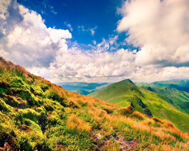 Dağlarda yaz manzarası. 