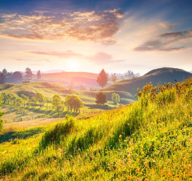 dağlarda yaz sabahı