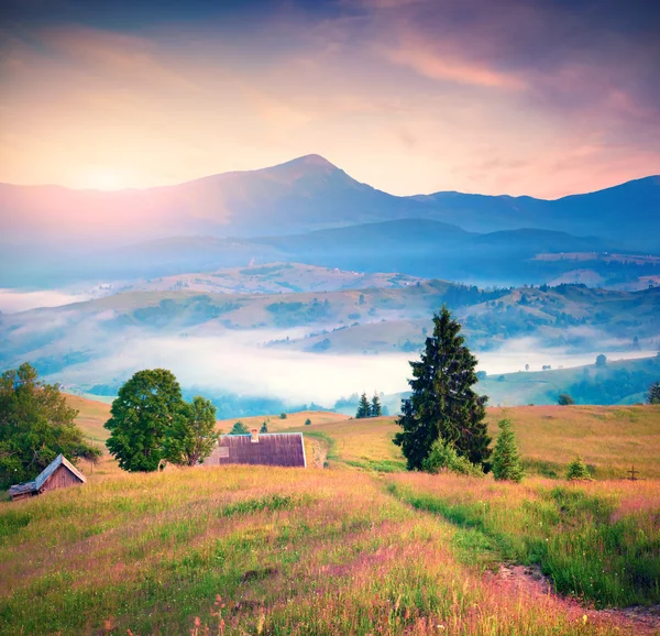 Panorama das montanhas de manhã — Fotografia de Stock