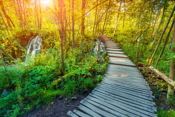 Percorso nel Parco nazionale dei laghi di Plitvice — Foto Stock