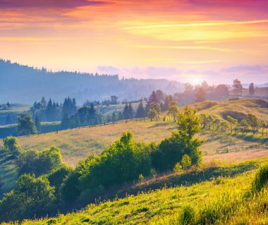 Karpatlar tepeler haddeleme ile