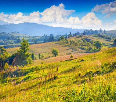 dağlarda yaz sabahı