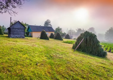 haymaking Karpat Köyü.