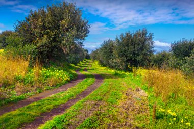 Cape Milazzo Garden'da