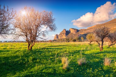 Bahçe cape San Vito üzerinde