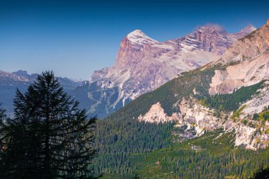 Cristallo grup Aralık sabahı