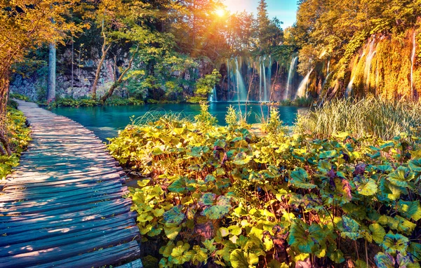 Parque Nacional de los Lagos de Plitvice — Foto de Stock