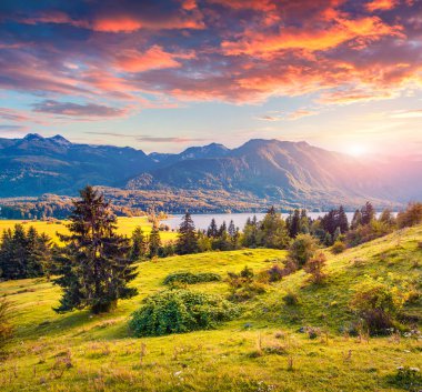 Renkli yaz gündoğumu Bohinj Gölü
