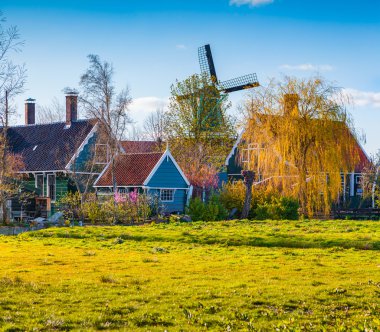 Zaanstad otantik Hollanda Mimarlık