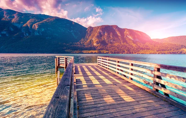 Bunte Sommermorgen am See Bohinj — Stockfoto