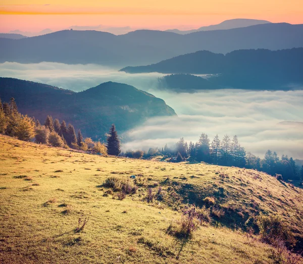 Alba nebbiosa estate in montagna — Foto Stock