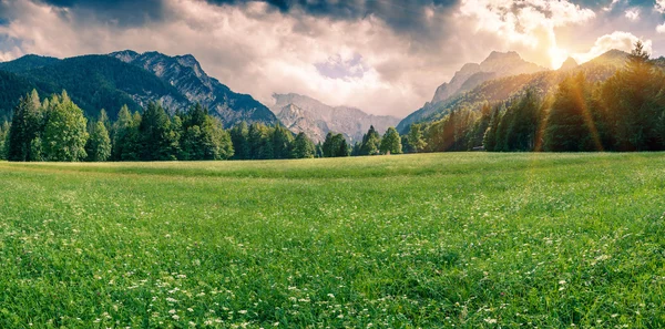 Панорама Triglav гірський хребет — стокове фото