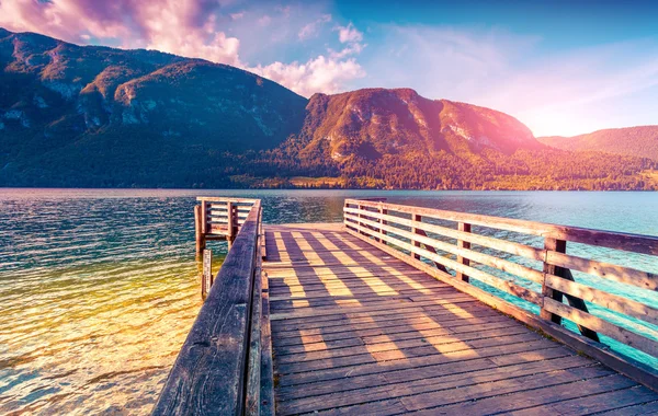 Kleurrijke Zomerochtend op het Bohinj meer Stockfoto