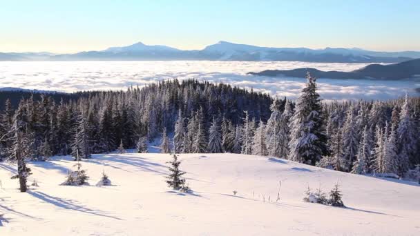 Vacker vinter soluppgång i bergen — Stockvideo