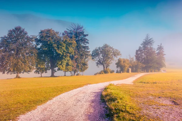 Mattina nel Parco del villaggio di Stara Fuzina Fotografia Stock