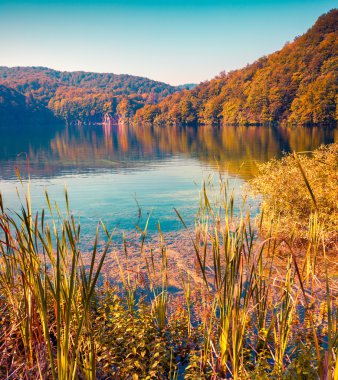 Plitvice Lakes National Park clipart