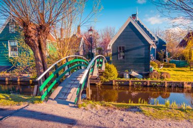Zaanstad köyünde tipik Hollanda binalar