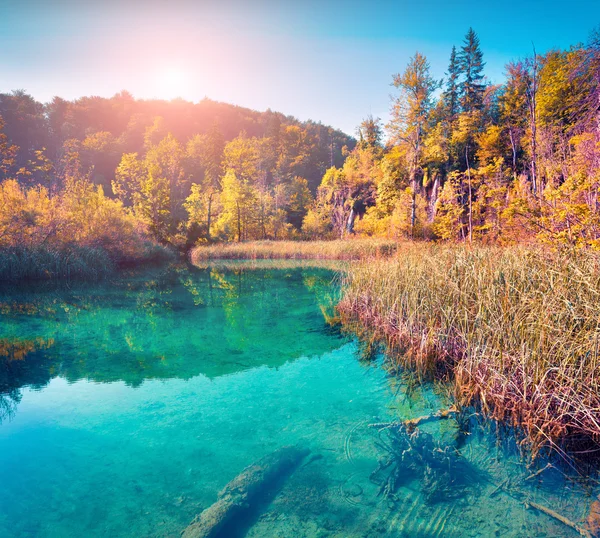 Nationalpark Plitvicer Seen. — Stockfoto