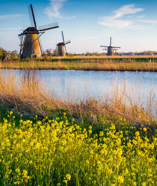 morning on the canal in Netherlands.