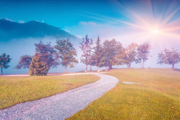 Ochtend in het Stara Fuzina dorp park Stockfoto