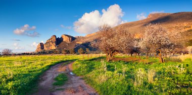 cape San Vito badem Bahçesi