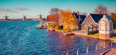 Tipik Hollanda Köyü Zaanstad Panoraması