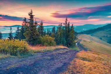 Karpat dağlarında gün batımı