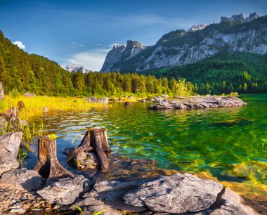 Avusturya gölde Vorderer Gosausee