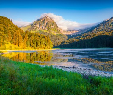 güzel İsviçre Gölü Obersee