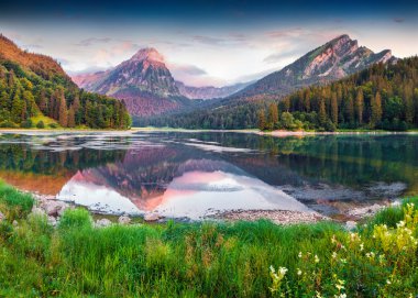 güzel İsviçre Gölü Obersee