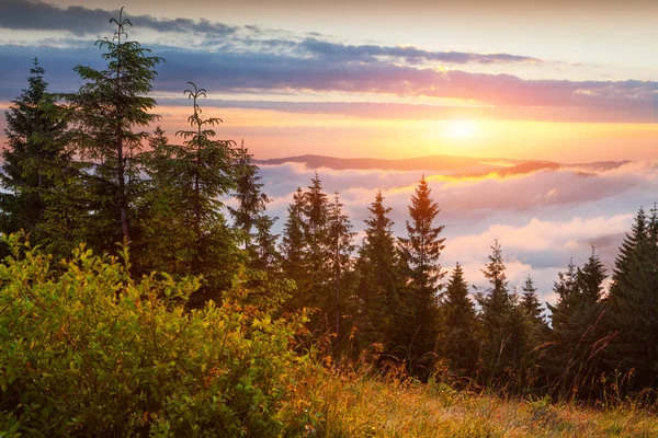 Sunrise in the Carpathian mountains — Stock Photo, Image