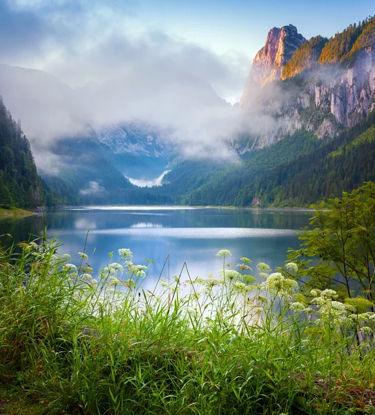 Lago Vorderer Gosausee — Foto de Stock