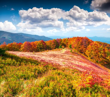 sabah Karpat Dağları.