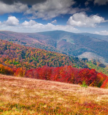 sabah Karpat Dağları.
