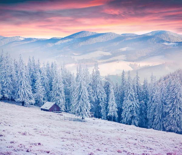 Zimní svítání v Karpatských horách. — Stock fotografie