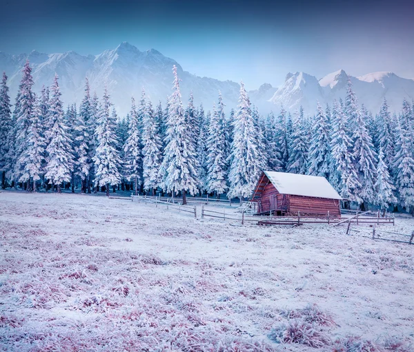 Geada na aldeia de montanha. — Fotografia de Stock