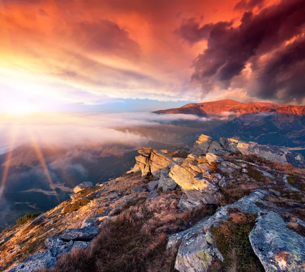 Paisagem nas montanhas. Nascer do sol — Fotografia de Stock