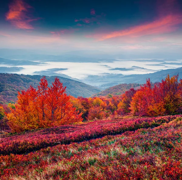 Paesaggio autunnale nelle montagne carpatiche. Immagine Stock